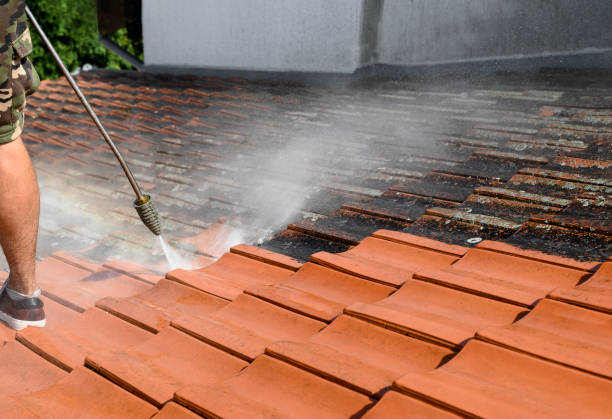 Best Residential Pressure Washing Services  in Knoxville, IA